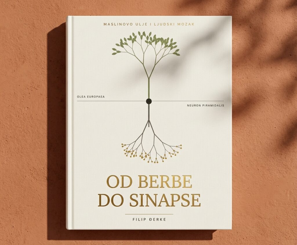 od berbe do sinapse